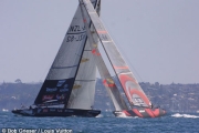 ALINGHI y KIWIS - CLIQUEAR PARA VER AMPLIADO